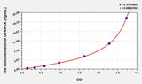 Human DYRK1A(Dual Specificity Tyrosine Phosphorylation Regulated Kinase 1A) ELISA Kit 96T*5