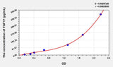 Human FGF17(Fibroblast Growth Factor 17) ELISA Kit 96T*5