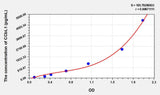 Human CCbL1(Cysteine Conjugate Beta Lyase, Cytoplasmic) ELISA Kit 96T*5