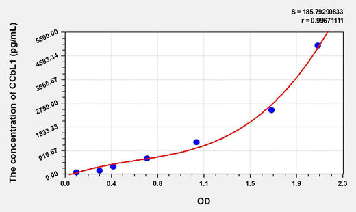 Human CCbL1(Cysteine Conjugate Beta Lyase, Cytoplasmic) ELISA Kit
