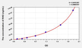 Human RHO(Rhodopsin) ELISA Kit 96T*5
