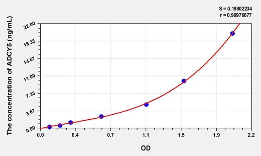 Human ADCY5(Adenylate Cyclase 5) ELISA Kit