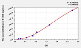 Rabbit S100B(S100 Calcium Binding Protein B) ELISA Kit 96T*5