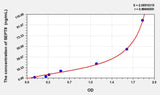 Human SEPT8(Septin 8) ELISA Kit