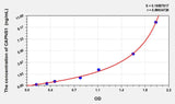 Rat CAPNS1(Calpain, Small Subunit 1) ELISA Kit 96T*5