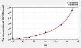 Human WNT5A(Wingless Type MMTV Integration Site Family, Member 5A) ELISA Kit 96T*5