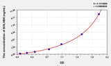 Human BHLHB8(Basic Helix Loop Helix Domain Containing Protein B8) ELISA Kit 96T*5