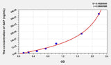 Rat SAP(Serum Amyloid P Component) ELISA Kit