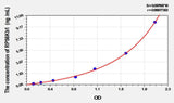 Human RPS6Kb1(Ribosomal Protein S6 Kinase Beta 1) ELISA Kit