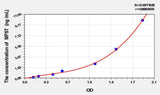 Mouse MPST(Mercaptopyruvate Sulfurtransferase) ELISA Kit