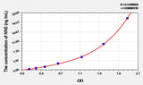 Rat NNE(Enolase, Non Neuronal) ELISA Kit