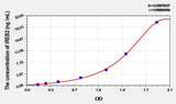Rat IREB2(Iron Responsive Element Binding Protein 2) ELISA Kit
