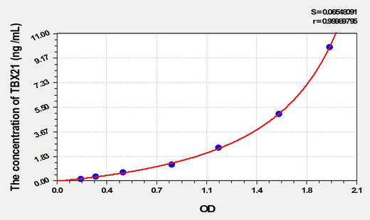 Human TBX21(T-Box Protein 21) ELISA Kit