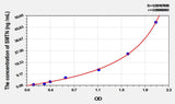 Rat SMTN(Smoothelin) ELISA Kit
