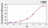 Rat MDH1(Malate Dehydrogenase 1) ELISA Kit