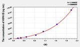 Cattle HSPA1B(Heat Shock 70kDa Protein 1B) ELISA Kit