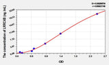 Human LRRC4B(Leucine Rich Repeat Containing Protein 4B) ELISA Kit