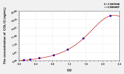 Rat COL12(Collagen Type XII) ELISA Kit