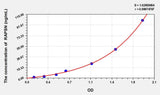 Mouse RAPSN(Receptor Associated Protein Of The Synapse) ELISA Kit