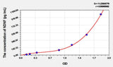 Human NDNF(Neuron Derived Neurotrophic Factor) ELISA Kit