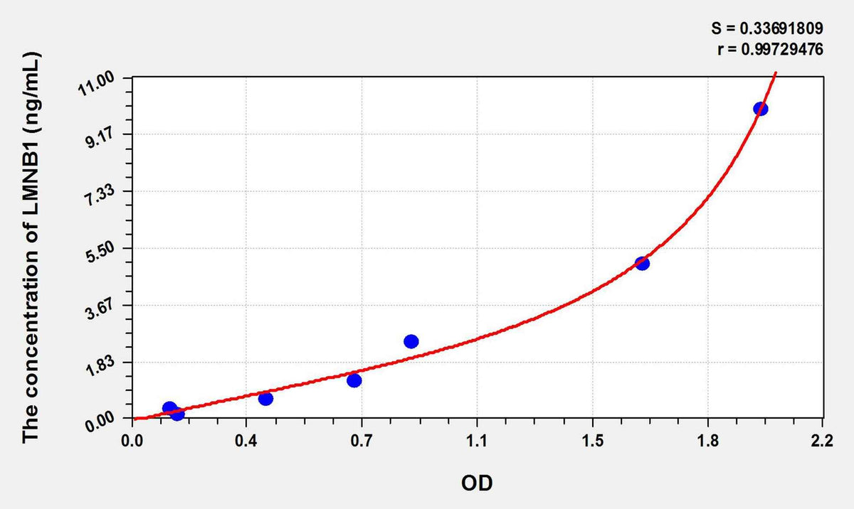 Human LMNB1(Lamin B1) ELISA Kit