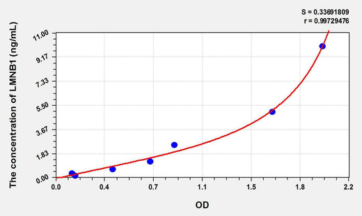 Human LMNB1(Lamin B1) ELISA Kit