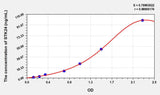 Human STK24(Serine/Threonine Kinase 24) ELISA Kit