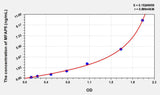 Rat MFAP5(Microfibrillar Associated Protein 5) ELISA Kit