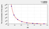 Rat Gly(Glycine) ELISA Kit
