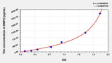 Horse BMP2(Bone Morphogenetic Protein 2) ELISA Kit