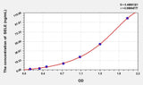 Sheep SELE(Selectin, Endothelium) ELISA Kit