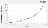 Rat CASP2(Caspase 2) ELISA Kit