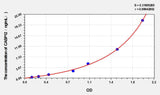Rat CASP12(Caspase 12) ELISA Kit