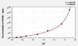 Sheep STAT5B(Signal Transducer And Activator Of Transcription 5B) ELISA Kit
