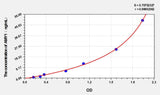 Mouse AMY1(Amylase Alpha 1, Salivary) ELISA Kit
