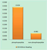 Tau (phospho Ser262) rabbit pAb
