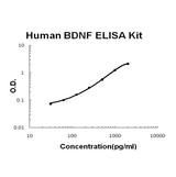 Human BDNF EZ-Set™ ELISA Kit (DIY Antibody Pairs) Boster Bio