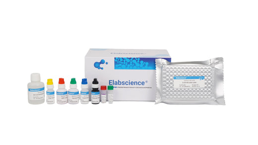 Representative Elabscience ELISA kit packaging; contents vary by catalogue and size