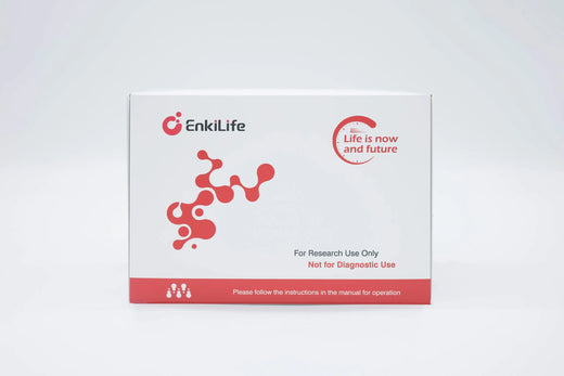 EnkiLife branded research reagent kit box; representative packaging image for Wash-Free Fluo-4 Calcium Real-Time Assay Kit RA20206 (not a product-specific photograph)