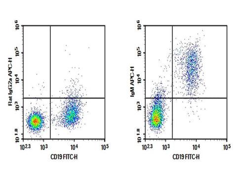 C57/BL6 Mouse splenocytes were stained with 0.2 μg Purified Anti-Mouse IgM Antibody[RMM-1](Right) and 0.2 μg Rat IgG2a, κ Isotype Control (Left), followed by APC-conjugated Goat Anti-Rat IgG Secondary Antibody, then anti-Mouse CD19 FITC-conjugated Monoclonal Antibody.