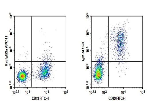 C57/BL6 Mouse splenocytes were stained with 0.2 μg Purified Anti-Mouse IgM Antibody[RMM-1](Right) and 0.2 μg Rat IgG2a, κ Isotype Control (Left), followed by APC-conjugated Goat Anti-Rat IgG Secondary Antibody, then anti-Mouse CD19 FITC-conjugated Monoclonal Antibody.