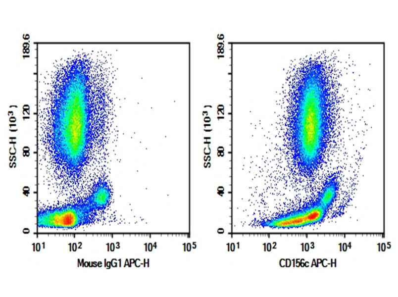 Anti-Human CD156c Antibody [SHM14] - ABMIUM