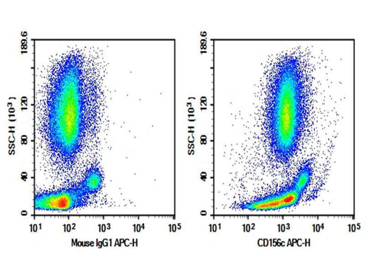 Anti-Human CD156c Antibody [SHM14] - ABMIUM