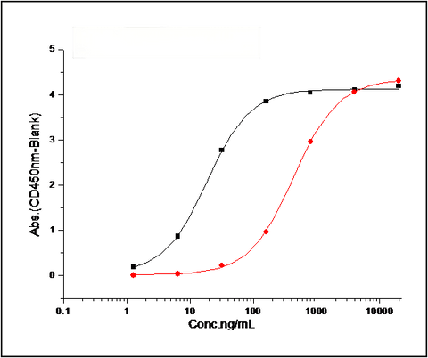 Immobilized mouse DLL4-his (Cat: PKSM040570) at 10 μg/mL (100 μl/well) can bind biotinylated mouse NOTCH1-his, The EC<sub>50</sub>of biotinylated mouse NOTCH1-his is 30 ng/mL.