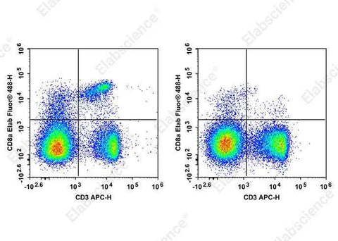 Anti-Mouse CD8a Antibody [YTS169.4] - ABMIUM