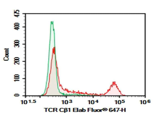 Anti-Human TCRCβ1 Antibody [JOVI.1] - ABMIUM