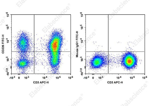 Staining of normal human peripheral blood cells with APC Anti-Human CD3 Antibody and FITC Anti-Human CD226/DNAM-1 Antibody[11A8] (left) or FITC Mouse IgG1, κ Isotype Control (right). Cells in the lymphocytes gate were used for analysis.