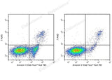 Annexin V-Elab Fluor® Red 780/7-AAD Apoptosis Kit - ABMIUM