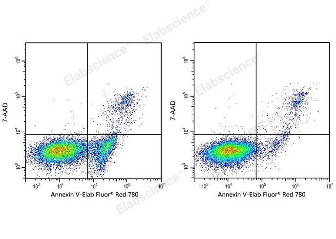 Annexin V-Elab Fluor® Red 780/7-AAD Apoptosis Kit - ABMIUM