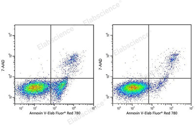 Annexin V-Elab Fluor® Red 780/7-AAD Apoptosis Kit - ABMIUM